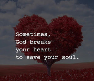 Meet your Posher, Elisa